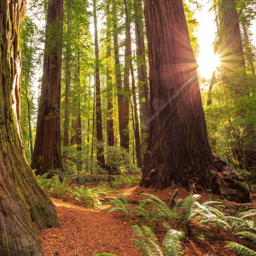 Q2 2025 | Drawdowns, Rebounds, & the Value of Discipline